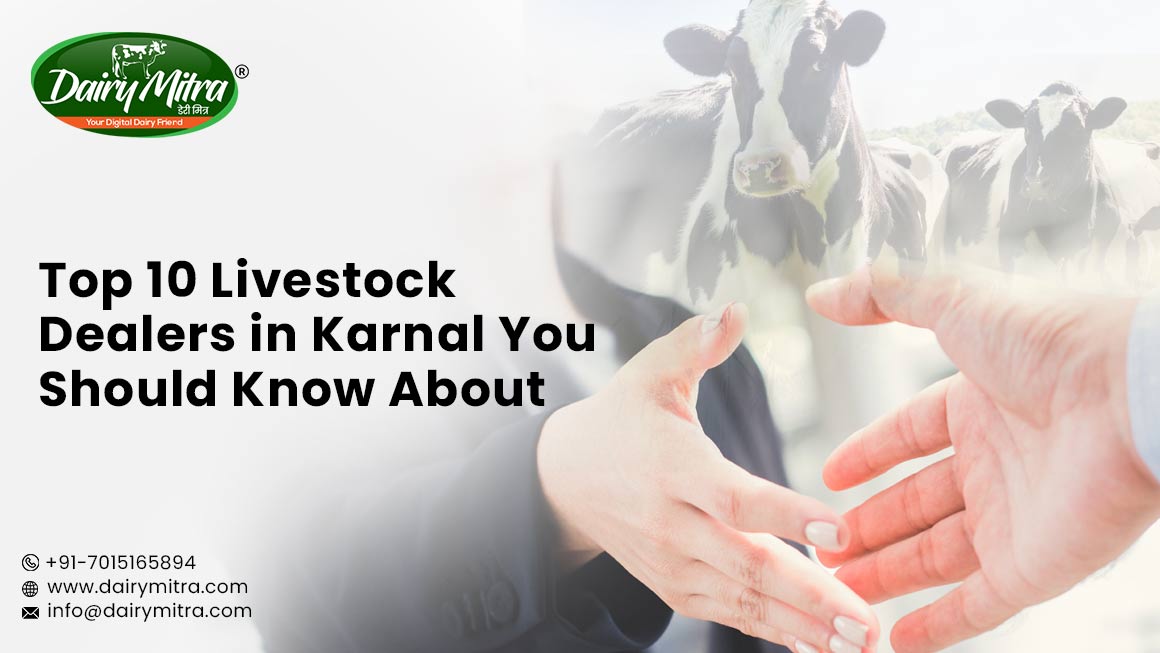 Top 10 Livestock Dealers in Karnal